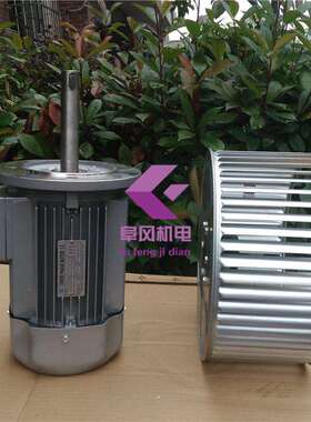 非标加长轴电机 YE2-112M-4 1400转,4kw,耐高温烤箱热风循环