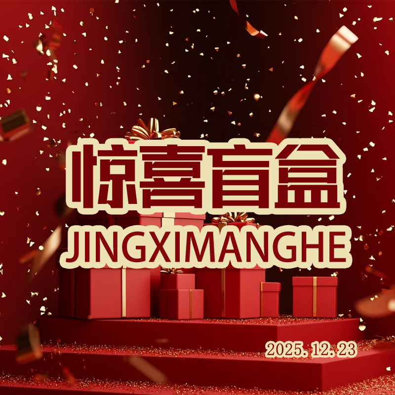 【惊喜盲盒】王力红家定制  SZ1196-1    新款T定制休闲鞋