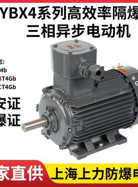 上海防爆电机YBX4-355S-6160W煤安证防爆证绞车破碎机适用