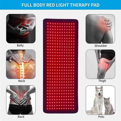Led Lamp Beads Red Light Physiotherapy Waist Pad Infrared Fi