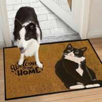 1pc Entrance Doormat, Dirt Resistant door mat, Room Decor, I thumbnail 6