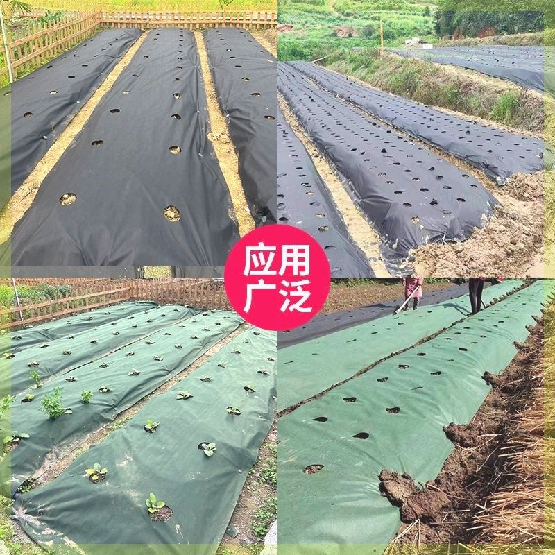 打孔防草布地膜蔬菜药材育苗定制开孔农用种植菜地透水耐用可降解,农机/农具/农膜,农用防草地布/除草布,淘宝优惠券,粉丝福利购,淘宝优惠卷