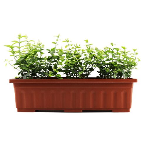 Balcony Basin Plastic flower pot with tray rectangular