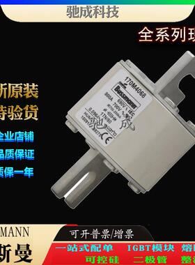 巴斯曼170M4068 170M4069 170M4108 厂家原装厂价直供 快速熔断器