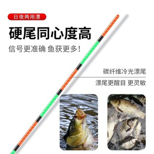 船长夜光漂高灵敏度芦苇电子漂硬尾流氓夜钓浮漂长尾鱼漂日夜两用