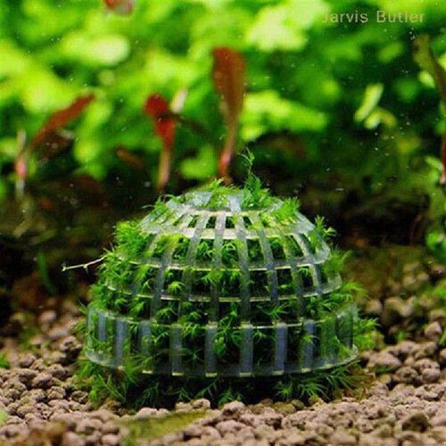 1pc Plastic White Aquatic Pet Supplies Decorations Aquarium