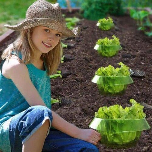 Snail Collars Vegetable Protective Covers Weather-resistant