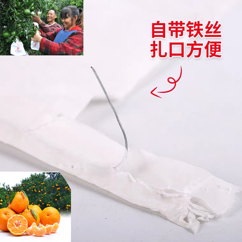 春见耙耙柑柑橘袋专用袋防鸟防虫袋脐橙红美人果袋防水防雨纸袋,农机/农具/农膜,水果套袋/果袋,淘宝优惠券,粉丝福利购,淘宝优惠卷