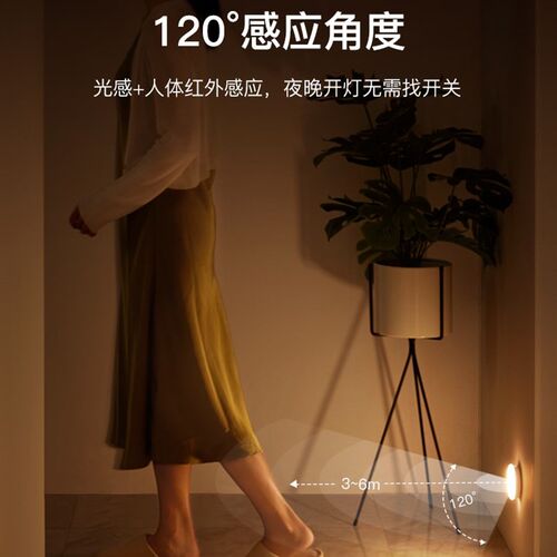 PIR Motion Sensor LED Night Light USB Rechargeable Lamp