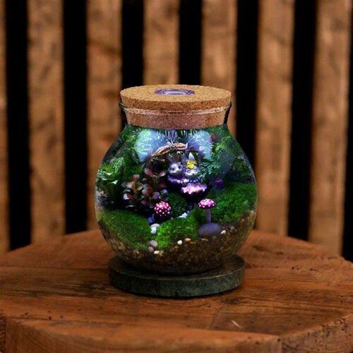 Colorful Ecological Bottle Simple DIY Terrarium Clear Glass