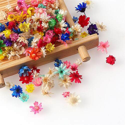 100/200pcs Real Dried Flowers For Diy Art Craft Epoxy Resin