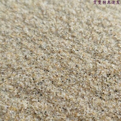 Natural sea sand 6 pounds of sand crab bottom sand seaside c