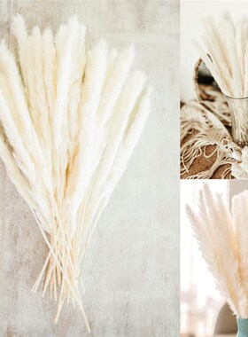 Pampas Grass Decoration Fluffy Wedding Arrangement Decoratio