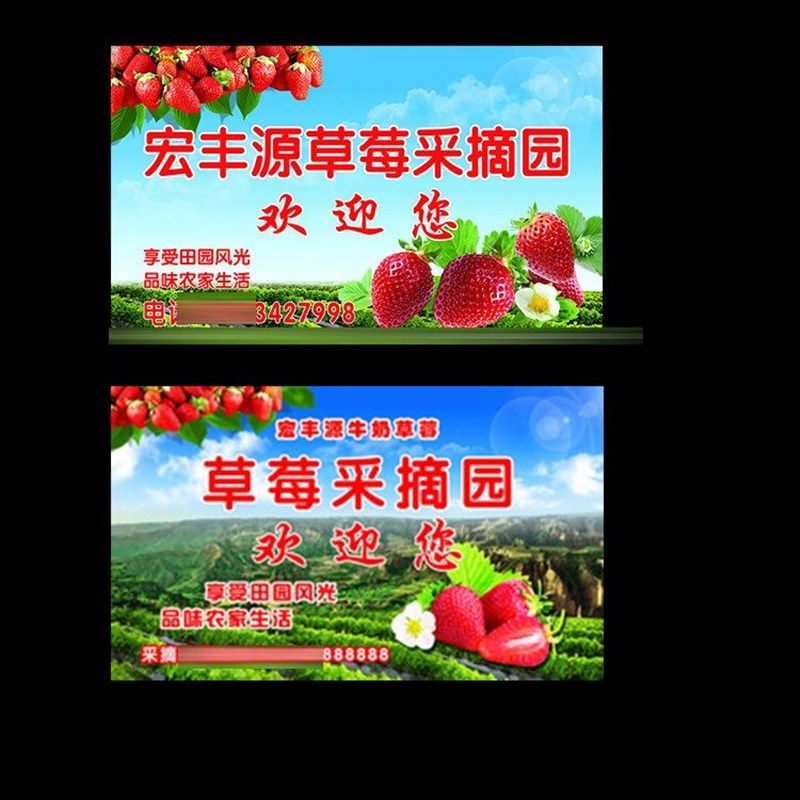 草莓园广告海报挂布果园采摘背景挂布定制设计广告宣传布,商业/办公家具,灯箱布/软膜天花,淘宝优惠券,粉丝福利购,淘宝优惠卷