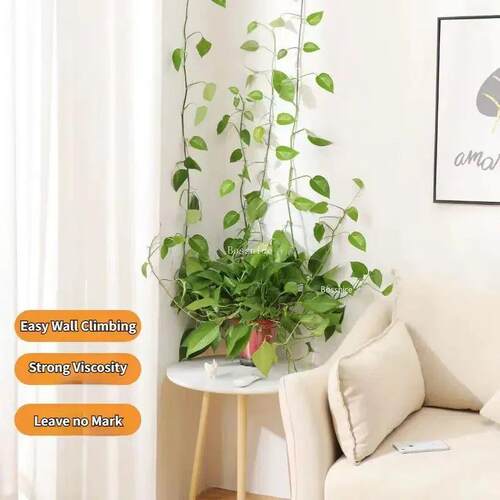 10Pcs Green Plant Climbing Wall Fixer Indoor Vine Plant Wall