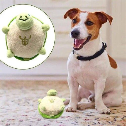 Turtle Shape Teeth Cleaning Toys Puppy Cleaning