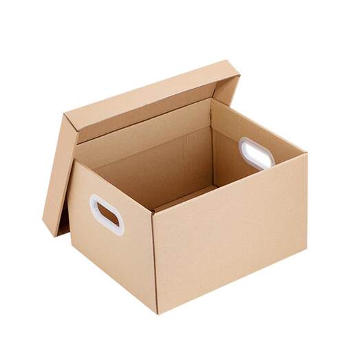 Carton Storage Boxes Sub Moving Organizer with纸箱收纳盒