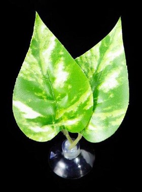 Betta Fish Leaf Bed Simulation Leaf Hammock Betta Fishtanks