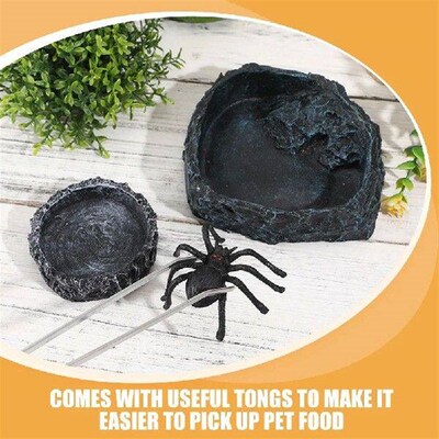 Bearded Dragon Food Bowl Leopard Gecko Water Dish Reptile