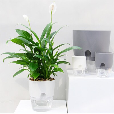 ABS Automatic Self Watering Flower Pot for Succulent Plants