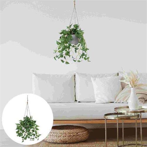 Simulated Green Dill Plants Artificial Wall Indoor Rattan