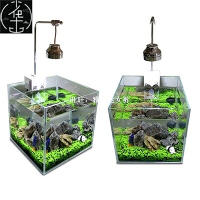 Aquarium Plant Seeds Water Aquatic Green Water Grass Decorat