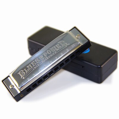 Harmonica SWAN Senior Bruce 10 Hole BLUES  with case Brass s