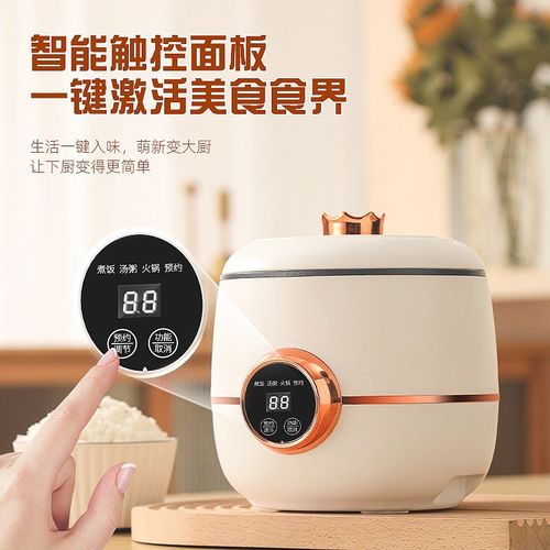 电煮锅电饭煲迷你智能多功能煮饭锅家用小型小电饭锅电煮锅小电锅
