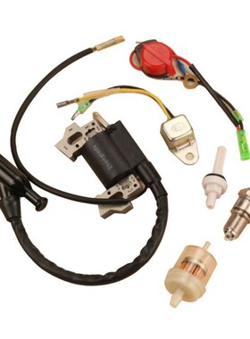 Ignition Coil Magneto Module For Honda GX200 GX120 GX110 GX1
