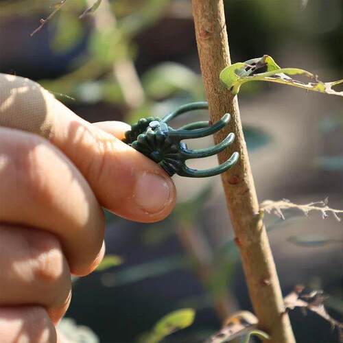 Wholesale Mini Plant Support Clips for Garden Flower Orchids