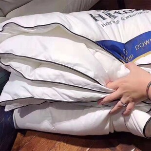 Hotel quilt Hilton duvet autumn winter warm 羽丝绒被芯冬被子