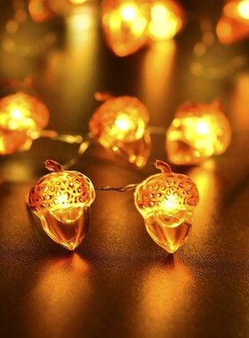 30 LEDs Acorn String Lights Thanksgiving Decorations