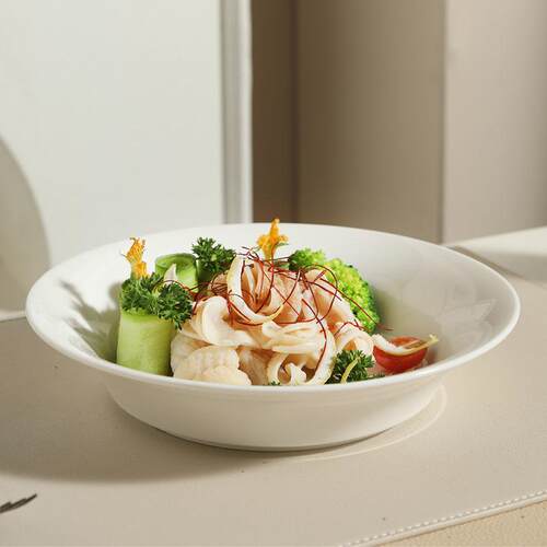 Ceramic Salad Pasta Plate European Style Hotel Restaurant