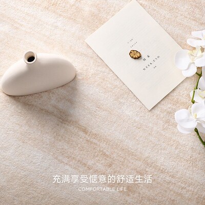 bedroom mat carpets floor rugs carpet living room rug home