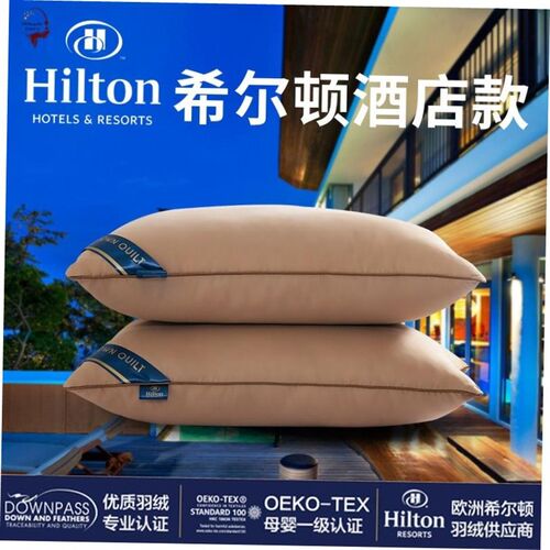 Pillow Healthy pillows feather velvet hotel pillow for bed