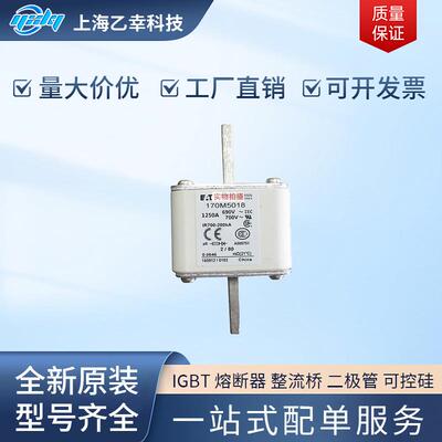 巴斯曼熔断器 170M5062 170M5063 170M5064 170M5065 170M5066