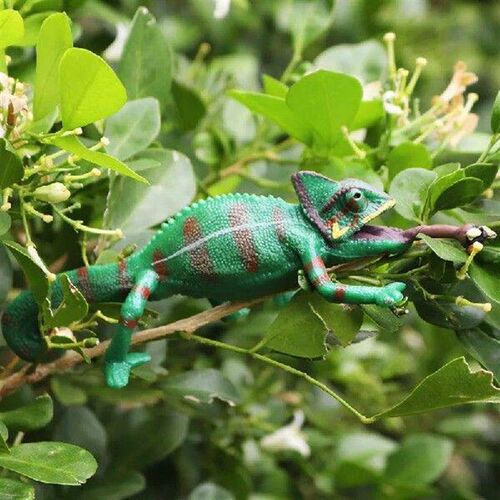 Simulation Reptile Animals Model Solid Lizard Phrynosoma