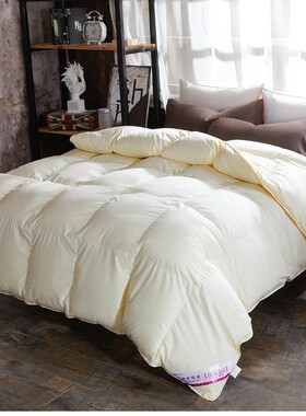 95% white goose down winter quilt comforter blanket duvet 被