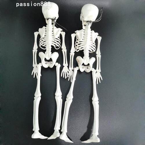 HalloweenSktRacDrivPp