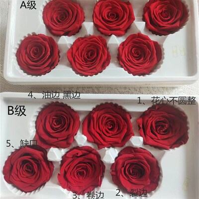 Flowers Yunnan Everlasting Flower Rose Valentines Day Diy
