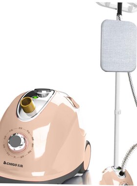 electric compact iron steam soleplate clothes steamer 电熨斗