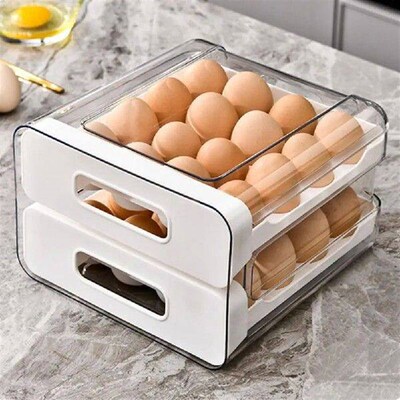 Refrigerator Egg Rack Enclosed Egg Holder Capacity Dual