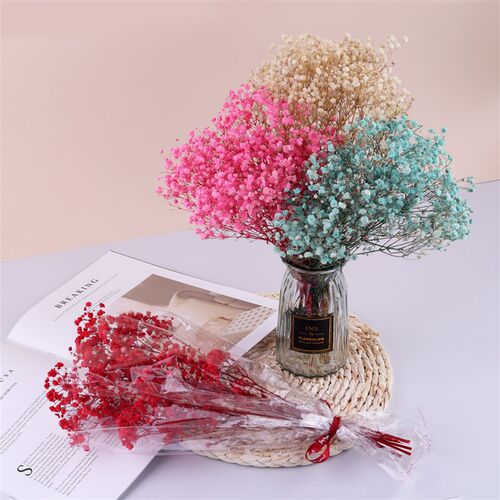 Mini Gypsophila Dried Flowers Natural Babysbreath Preserve F