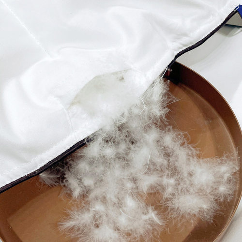 Down All Season Duvet Hotel Quality Warm Quilt Blanket 被子