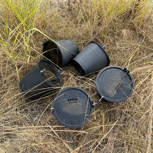 10个盖子1升19升诱蜂桶盖钻孔招蜜蜂引土蜂黑色盖子野外捕蜂