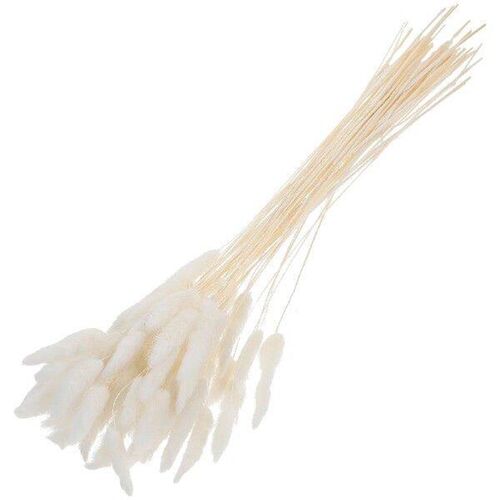 Decorative Dried Flowers Rabbit Tail Grass Fall Vase