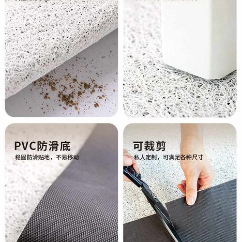 Door Mat Door Entrance Silk Ring Door Mat Light Luxury Simpl