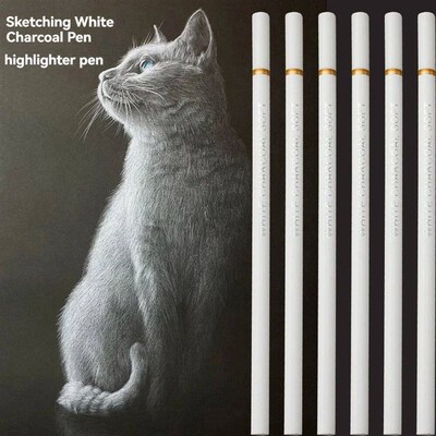 6Pcs/set White Charcoal Pencils Drawing Set Professional Whi