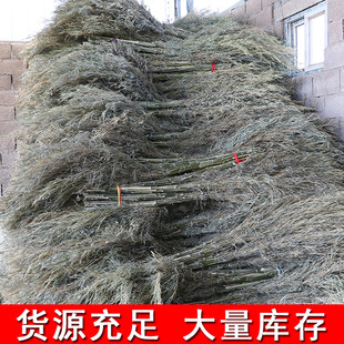 竹扫帚大扫把竹子扫院子的大扫帚扫马路扫帚小笤帚加大环卫竹扫把