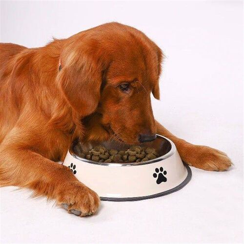 5 Sizes 1PC Stainless Steel Pet Bowl Dog/Cat Food Bowl
